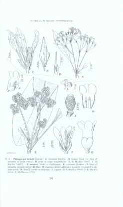 Flore De La Nouvelle-Calédonie Et Dépendances, Volume 24: Pittosporaceae -Wildlife Professional Books 154153 2