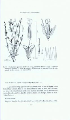 Flore Du Cambodge, Du Laos Et Du Viêtnam, Volume 31 -Wildlife Professional Books 154162 3