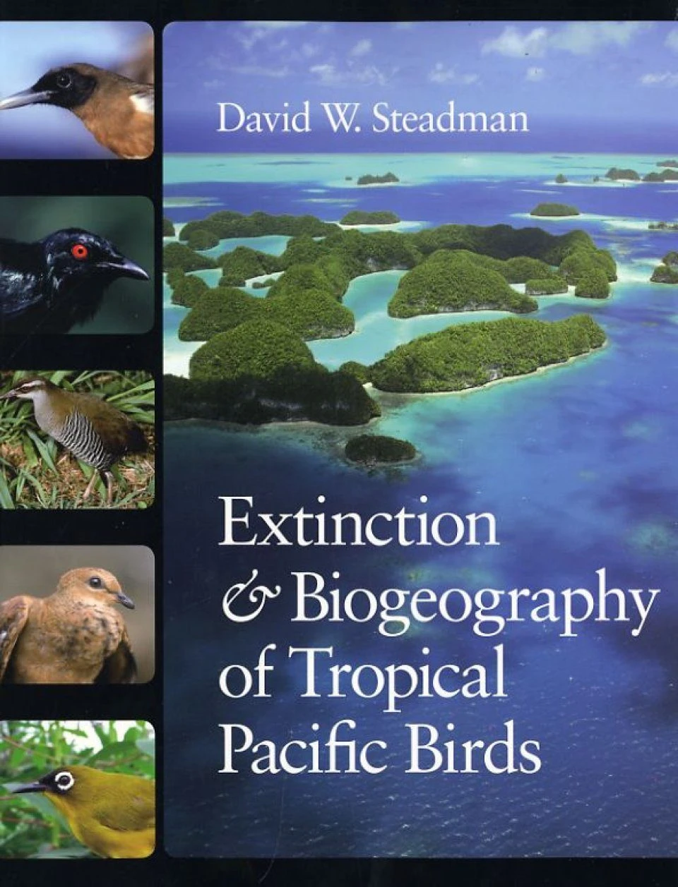 Extinction And Biogeography Of Tropical Pacific Birds 3 Extinction And Biogeography Of Tropical Pacific Birds