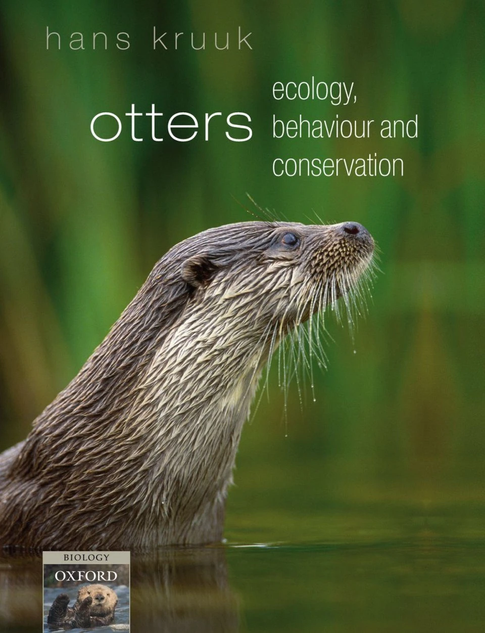 Otters 3 Otters