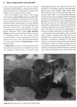 Otters 15 Otters -Wildlife Professional Books 157500 3