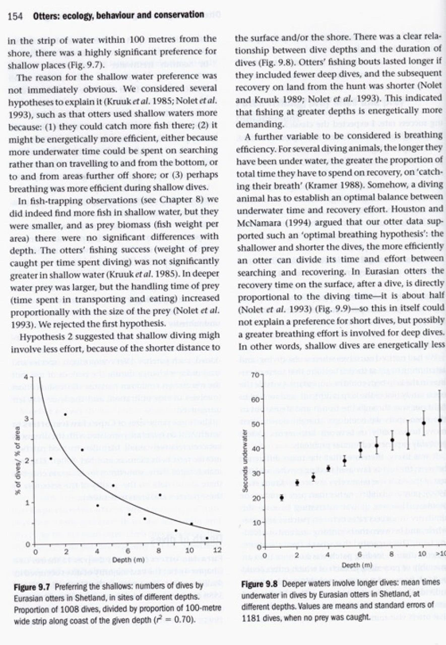 Otters 9 Otters - Image 7