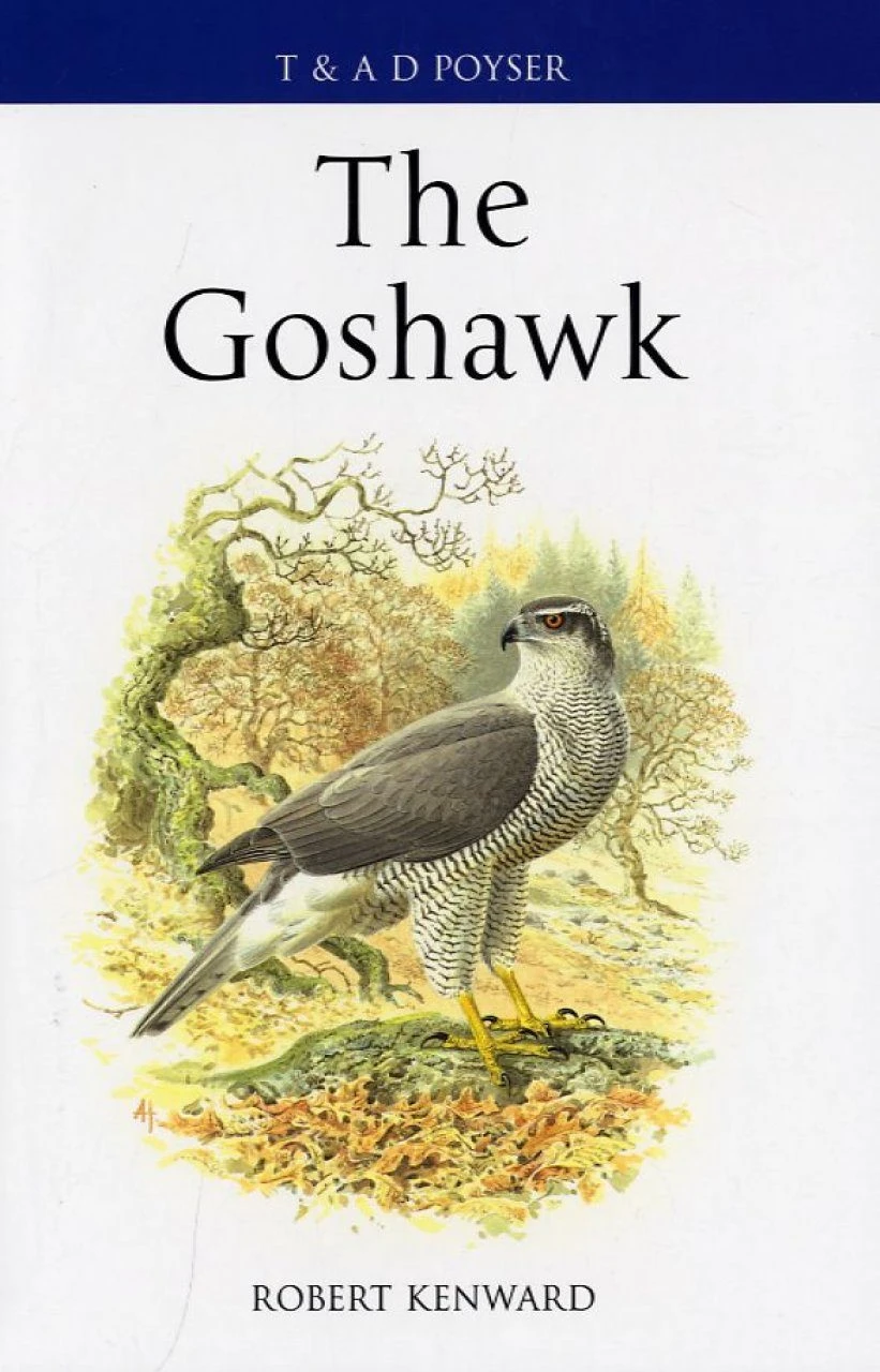 The Goshawk 3 The Goshawk