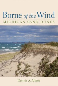 Borne Of The Wind