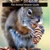 Squirrels: The Animal Answer Guide 1 Squirrels: The Animal Answer Guide -Wildlife Professional Books 160127
