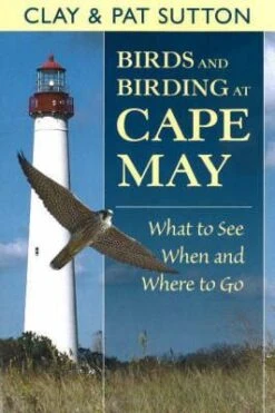 Birds And Birding At Cape May