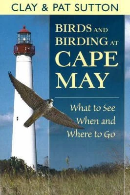 Birds And Birding At Cape May 3 Birds And Birding At Cape May