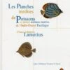 Les Planches Inédites De Poisson Et Autres Animaux Marins De L'Indo-Ouest Pacifique D'Isaac Johannes Lamotius / The Unpublished Plates Of Fish And Other Marine Animals Of The Indo-West Pacific Of Isaac Johannes Lamotius 2 Les Planches Inédites De Poisson Et Autres Animaux Marins De L'Indo-Ouest Pacifique D'Isaac Johannes Lamotius / The Unpublished Plates Of Fish And Other Marine Animals Of The Indo-West Pacific Of Isaac Johannes Lamotius -Wildlife Professional Books 161930