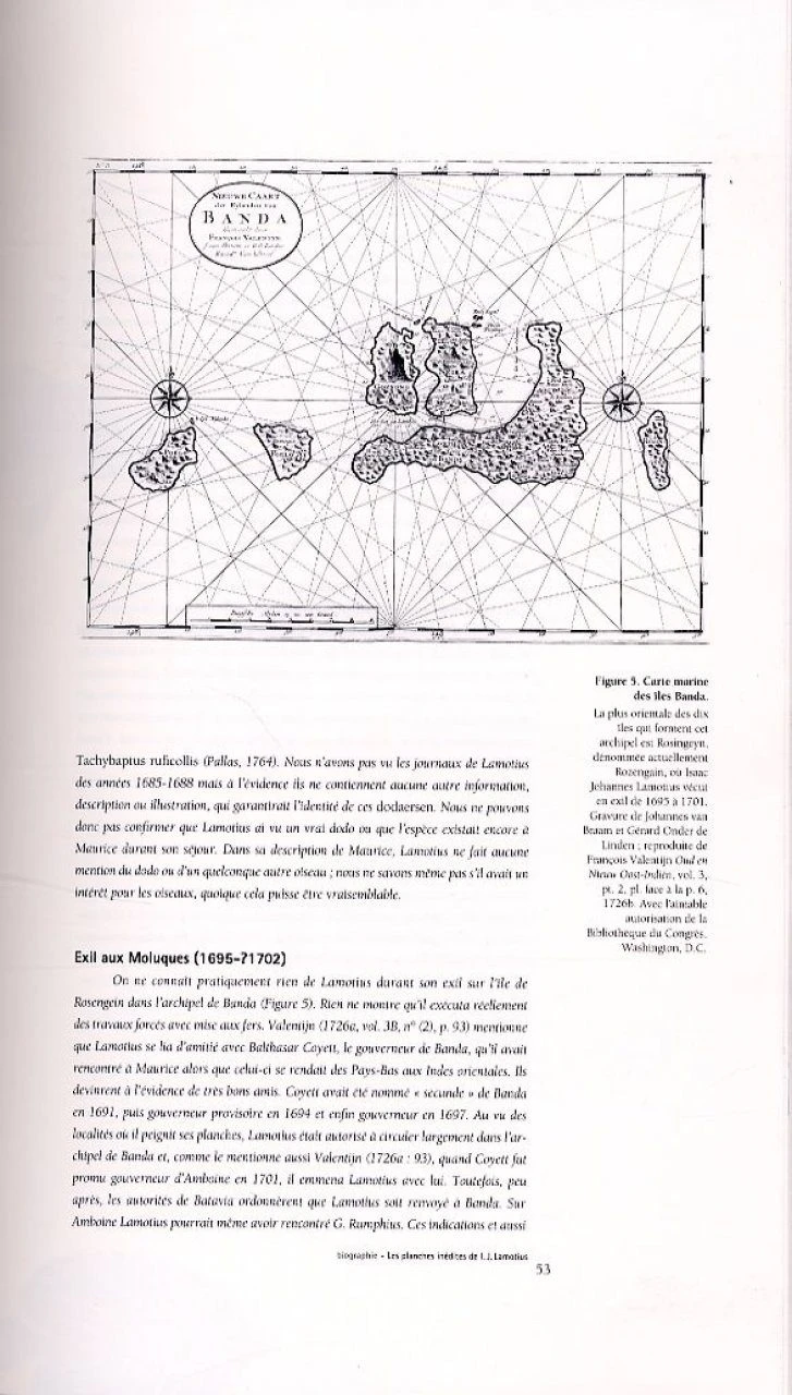 Les Planches Inédites De Poisson Et Autres Animaux Marins De L'Indo-Ouest Pacifique D'Isaac Johannes Lamotius / The Unpublished Plates Of Fish And Other Marine Animals Of The Indo-West Pacific Of Isaac Johannes Lamotius 4 Les Planches Inédites De Poisson Et Autres Animaux Marins De L'Indo-Ouest Pacifique D'Isaac Johannes Lamotius / The Unpublished Plates Of Fish And Other Marine Animals Of The Indo-West Pacific Of Isaac Johannes Lamotius - Image 2