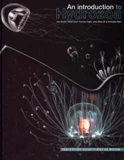An Introduction To Hydrozoa