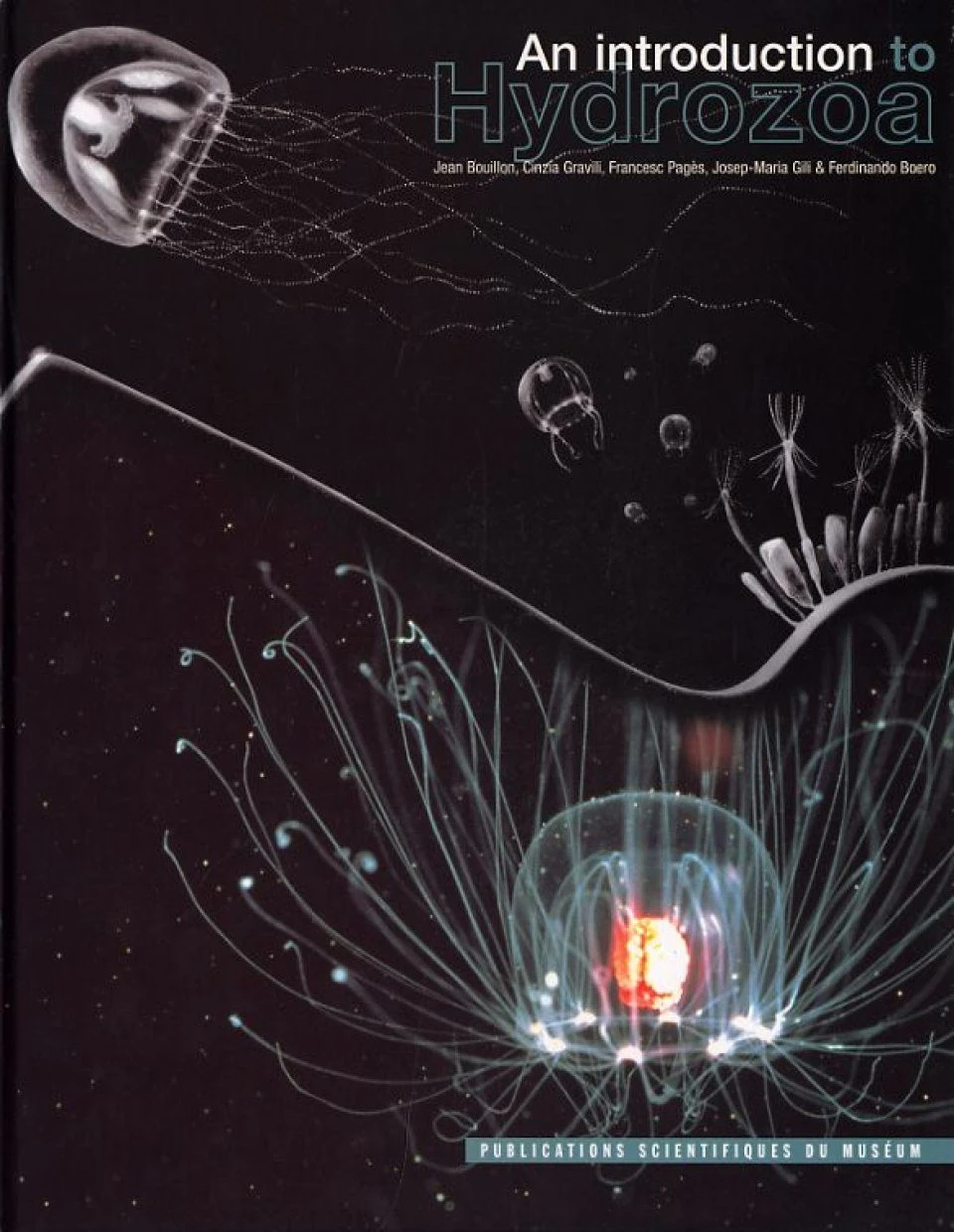 An Introduction To Hydrozoa 3 An Introduction To Hydrozoa