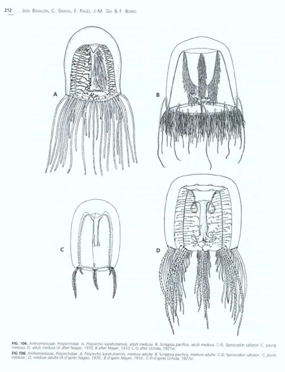 An Introduction To Hydrozoa 4 An Introduction To Hydrozoa - Image 2