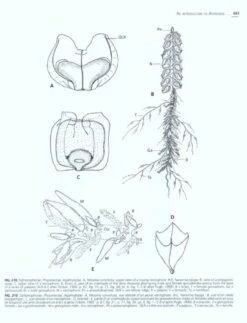 An Introduction To Hydrozoa 9 An Introduction To Hydrozoa -Wildlife Professional Books 164360 3