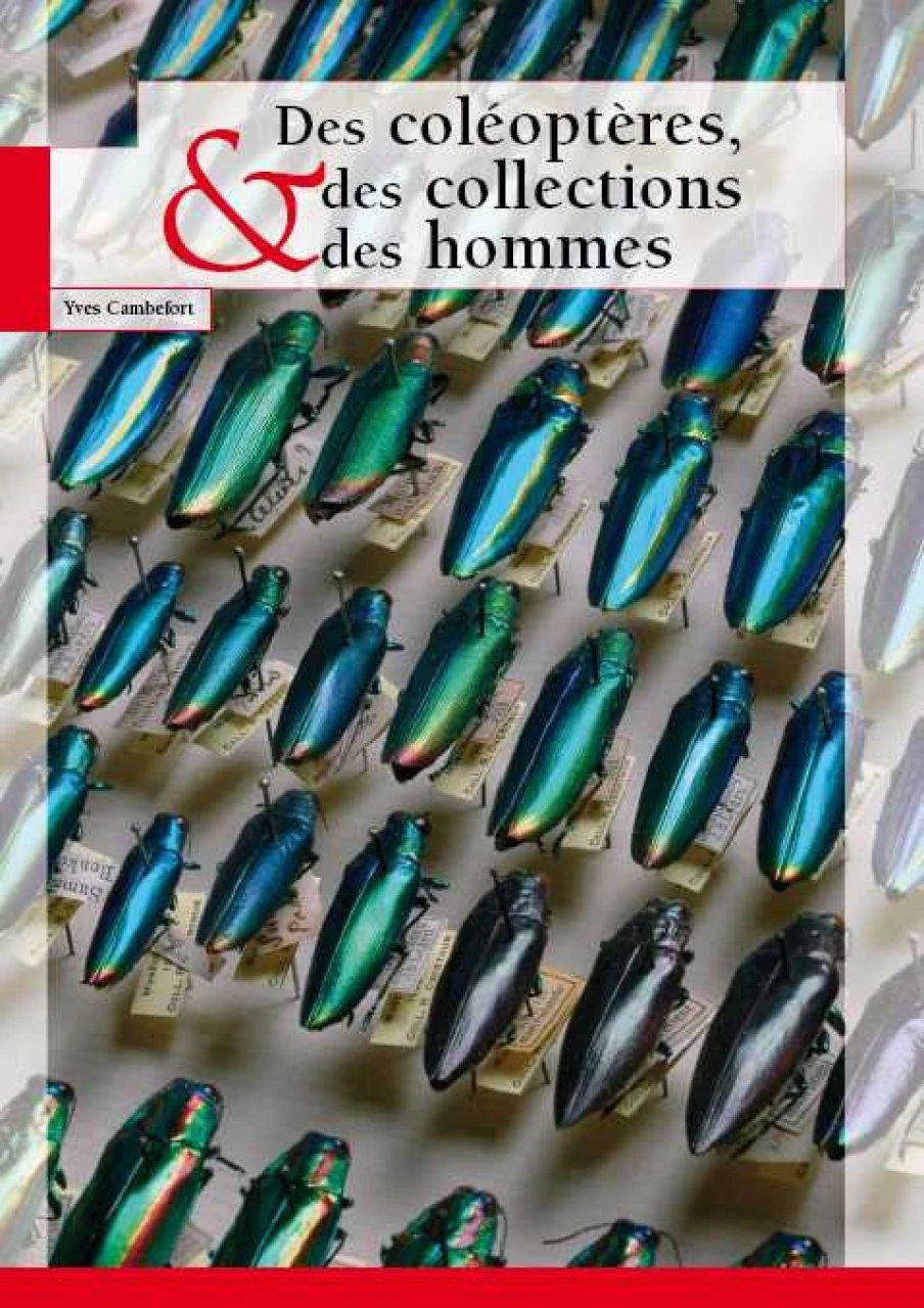 Des Coléoptères, Des Collections Et Des Hommes 3 Des Coléoptères, Des Collections Et Des Hommes