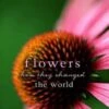 Flowers 2 Flowers -Wildlife Professional Books 164887
