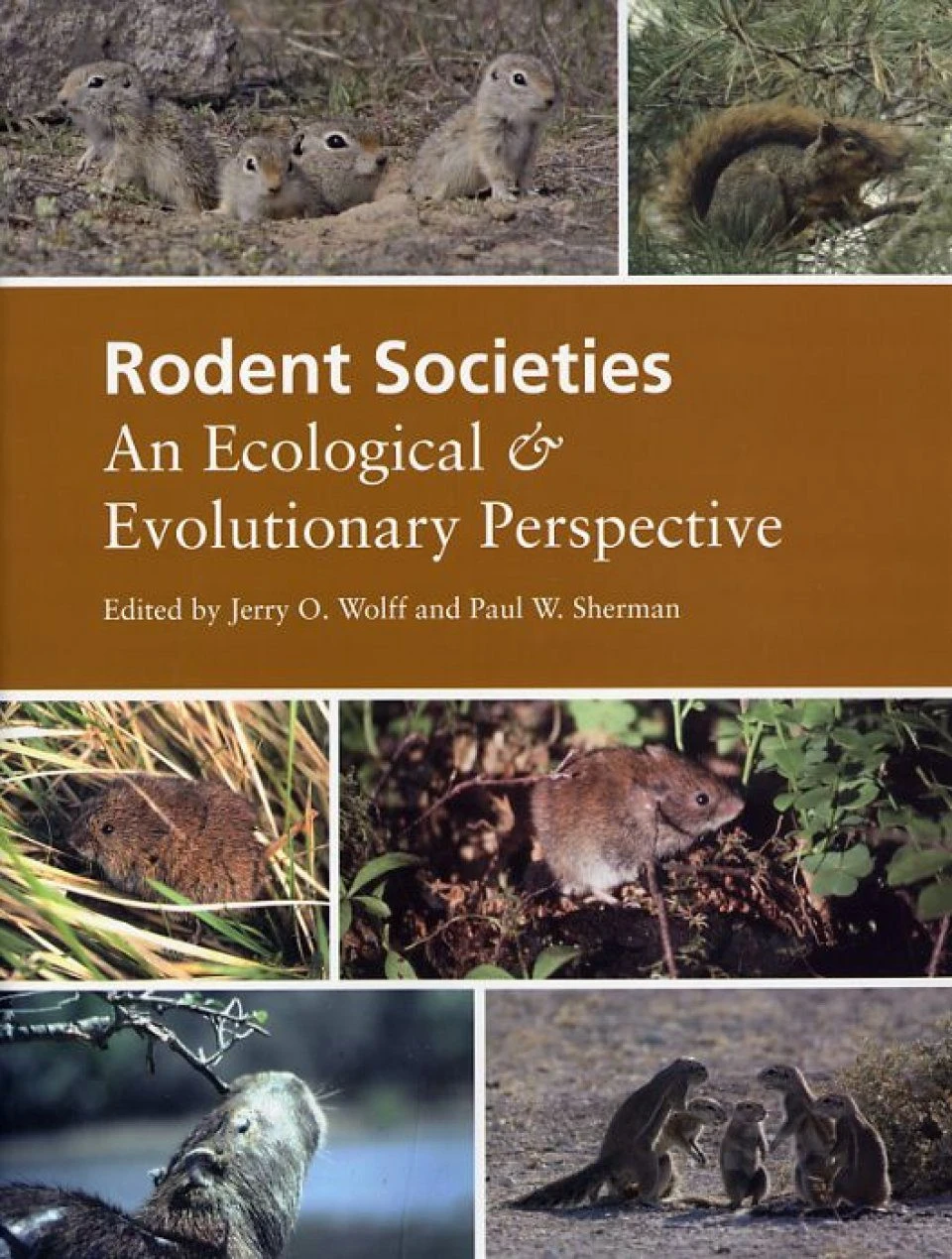 Rodent Societies 3 Rodent Societies