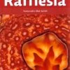 Rafflesia 1 Rafflesia -Wildlife Professional Books 168874