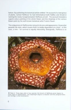 Rafflesia 7 Rafflesia -Wildlife Professional Books 168874 1