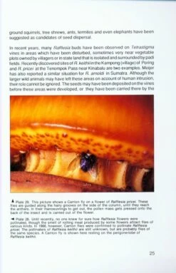 Rafflesia 8 Rafflesia -Wildlife Professional Books 168874 2