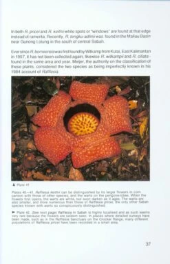 Rafflesia 9 Rafflesia -Wildlife Professional Books 168874 3