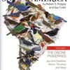 The Birds Of South America: Volume 1 - The Oscine Passerines 1 The Birds Of South America: Volume 1 - The Oscine Passerines -Wildlife Professional Books 170042
