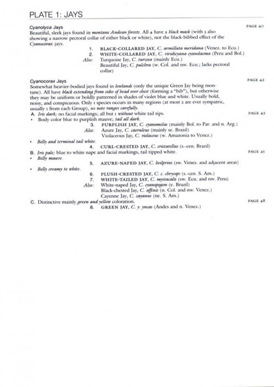 The Birds Of South America: Volume 1 - The Oscine Passerines 4 The Birds Of South America: Volume 1 - The Oscine Passerines - Image 2