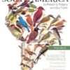 The Birds Of South America: Volume 2 - The Suboscine Passerines 2 The Birds Of South America: Volume 2 - The Suboscine Passerines -Wildlife Professional Books 170043