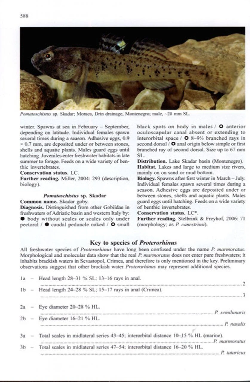 Handbook Of European Freshwater Fishes 6 Handbook Of European Freshwater Fishes - Image 4