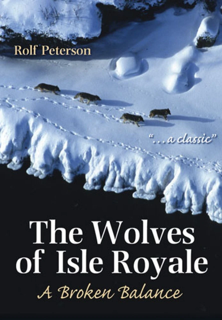 The Wolves Of Isle Royale 3 The Wolves Of Isle Royale