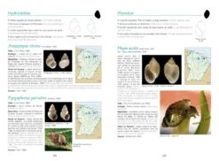 Coquillages Et Escargots De Guyane -Wildlife Professional Books 172978 4