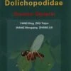 World Catalog Of Dolichopodidae (Insecta: Diptera) 2 World Catalog Of Dolichopodidae (Insecta: Diptera) -Wildlife Professional Books 173339
