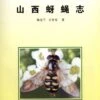 Syrphidae Of Shanxi Province (Shanxi Yaying Zhi) [Chinese] -Wildlife Professional Books 173347