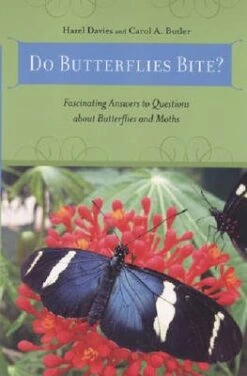 Do Butterflies Bite?