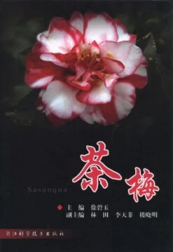 Sasanqua [Chinese]