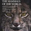 Handbook Of The Mammals Of The World, Volume 1: Carnivores 1 Handbook Of The Mammals Of The World, Volume 1: Carnivores -Wildlife Professional Books 174993