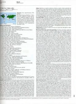 Handbook Of The Mammals Of The World, Volume 1: Carnivores 13 Handbook Of The Mammals Of The World, Volume 1: Carnivores -Wildlife Professional Books 174993 2