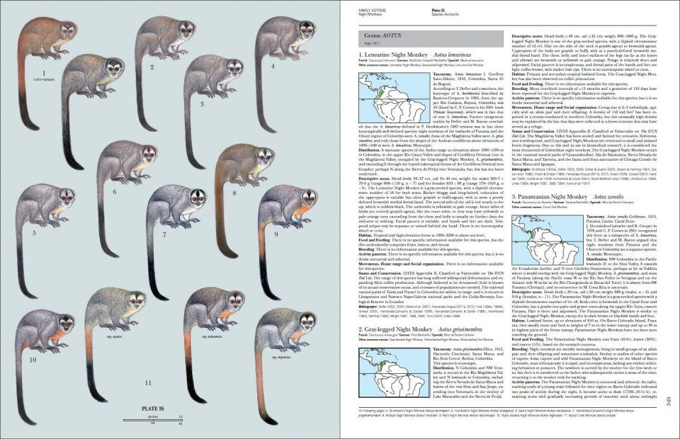 Handbook Of The Mammals Of The World, Volume 3: Primates 4 Handbook Of The Mammals Of The World, Volume 3: Primates - Image 2