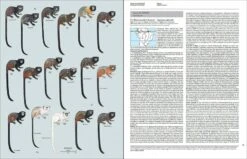 Handbook Of The Mammals Of The World, Volume 3: Primates 11 Handbook Of The Mammals Of The World, Volume 3: Primates -Wildlife Professional Books 174995 2