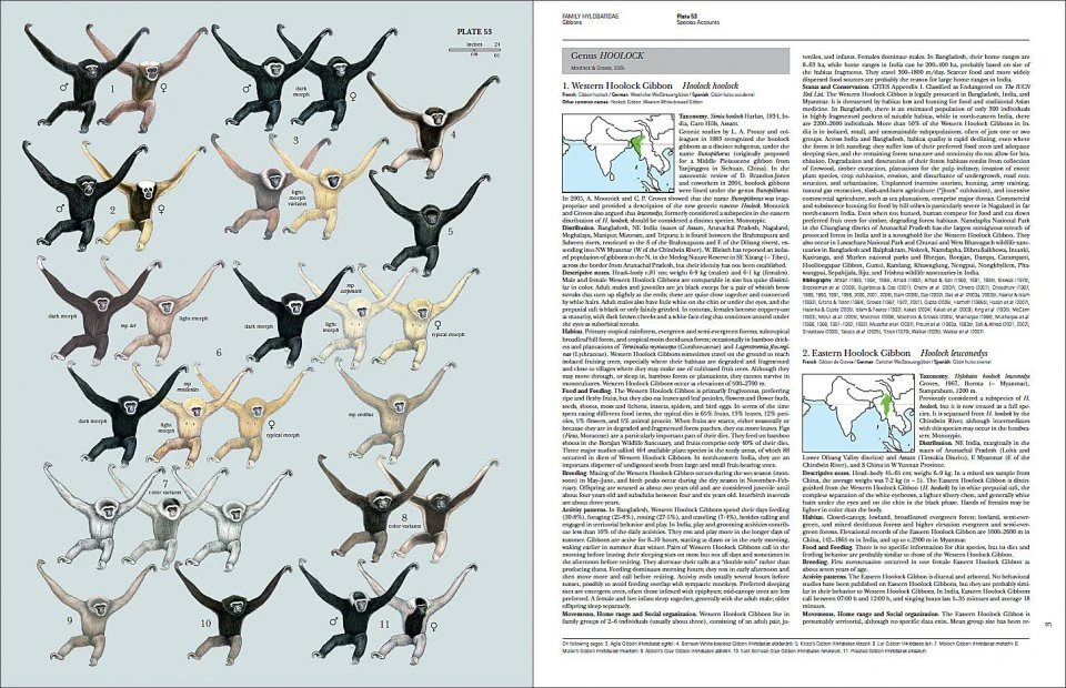 Handbook Of The Mammals Of The World, Volume 3: Primates 7 Handbook Of The Mammals Of The World, Volume 3: Primates - Image 5