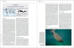 Handbook Of The Mammals Of The World, Volume 4: Sea Mammals -Wildlife Professional Books 174996 02