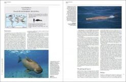Handbook Of The Mammals Of The World, Volume 4: Sea Mammals -Wildlife Professional Books 174996 03