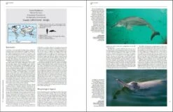 Handbook Of The Mammals Of The World, Volume 4: Sea Mammals -Wildlife Professional Books 174996 05