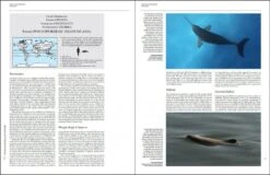 Handbook Of The Mammals Of The World, Volume 4: Sea Mammals -Wildlife Professional Books 174996 07