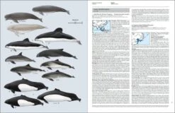 Handbook Of The Mammals Of The World, Volume 4: Sea Mammals -Wildlife Professional Books 174996 08