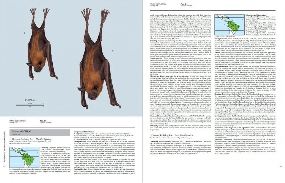Handbook Of The Mammals Of The World, Volume 9: Bats 6 Handbook Of The Mammals Of The World, Volume 9: Bats - Image 4