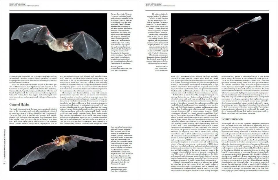 Handbook Of The Mammals Of The World, Volume 9: Bats 9 Handbook Of The Mammals Of The World, Volume 9: Bats - Image 7
