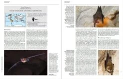 Handbook Of The Mammals Of The World, Volume 9: Bats 31 Handbook Of The Mammals Of The World, Volume 9: Bats -Wildlife Professional Books 175000 09