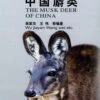 The Musk Deer Of China [Chinese] -Wildlife Professional Books 175724