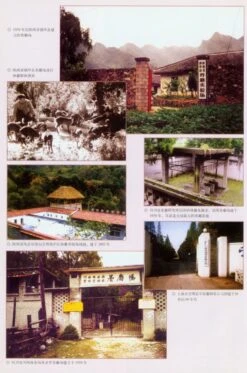 The Musk Deer Of China [Chinese] -Wildlife Professional Books 175724 2