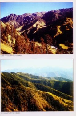 The Musk Deer Of China [Chinese] -Wildlife Professional Books 175724 3